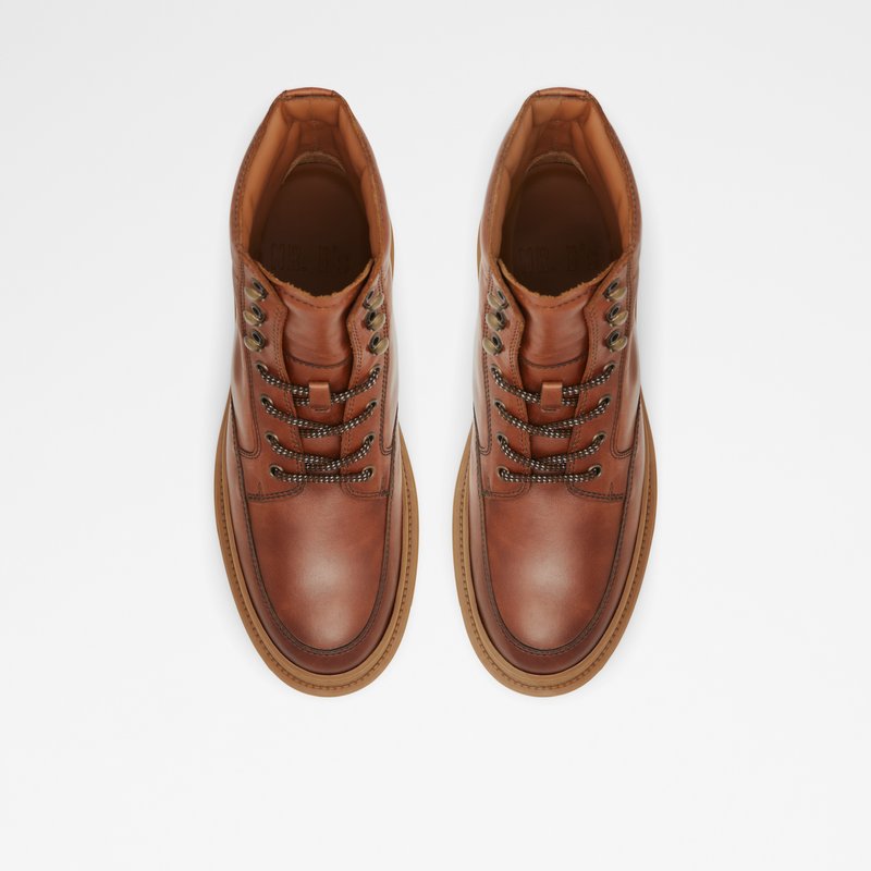 Botas con Cordones Aldo Peak Hombre Marrom | GLB026843
