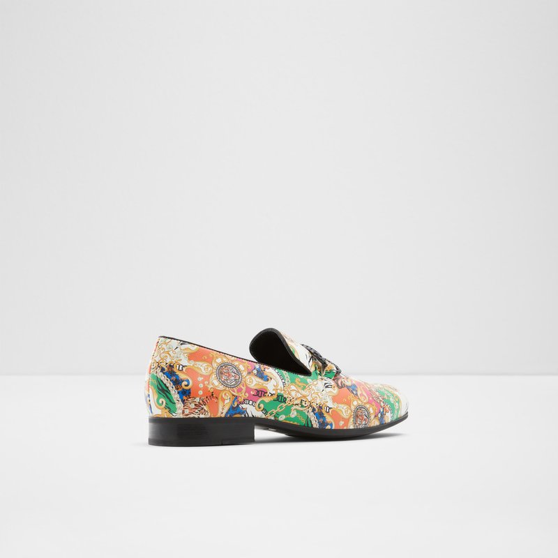 Loafers Aldo Connery Hombre Multicolor | IJH453961