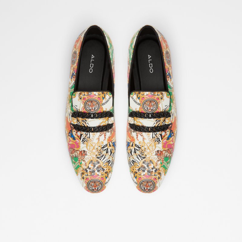 Loafers Aldo Connery Hombre Multicolor | IJH453961