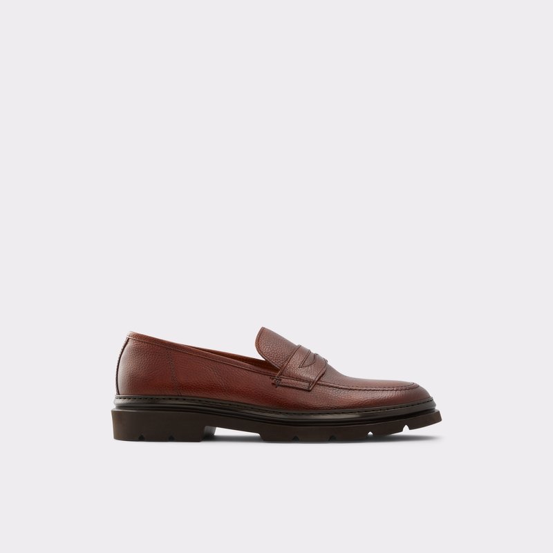 Loafers Aldo Droarien Hombre Marrom | OBU648203